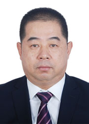 副会长李安东